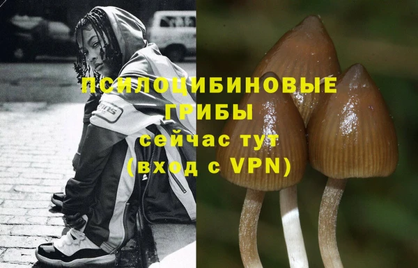круглые Михайловск