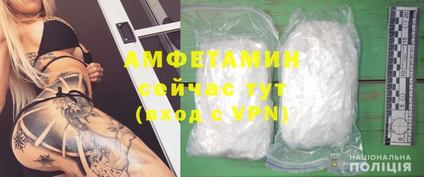 шишки Наволоки