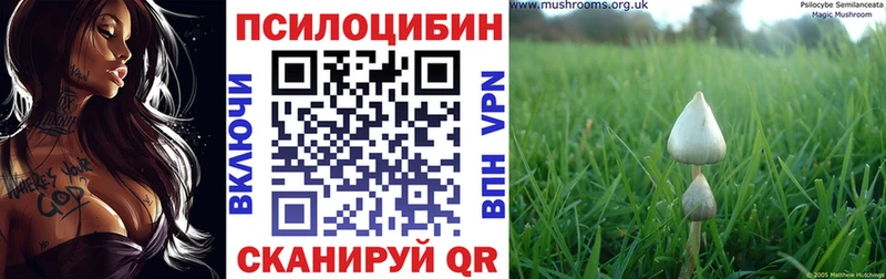Галлюциногенные грибы GOLDEN TEACHER  купить наркотики цена  Кондопога 