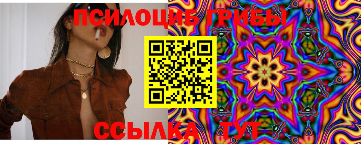 Псилоцибиновые грибы ЛСД Кондопога