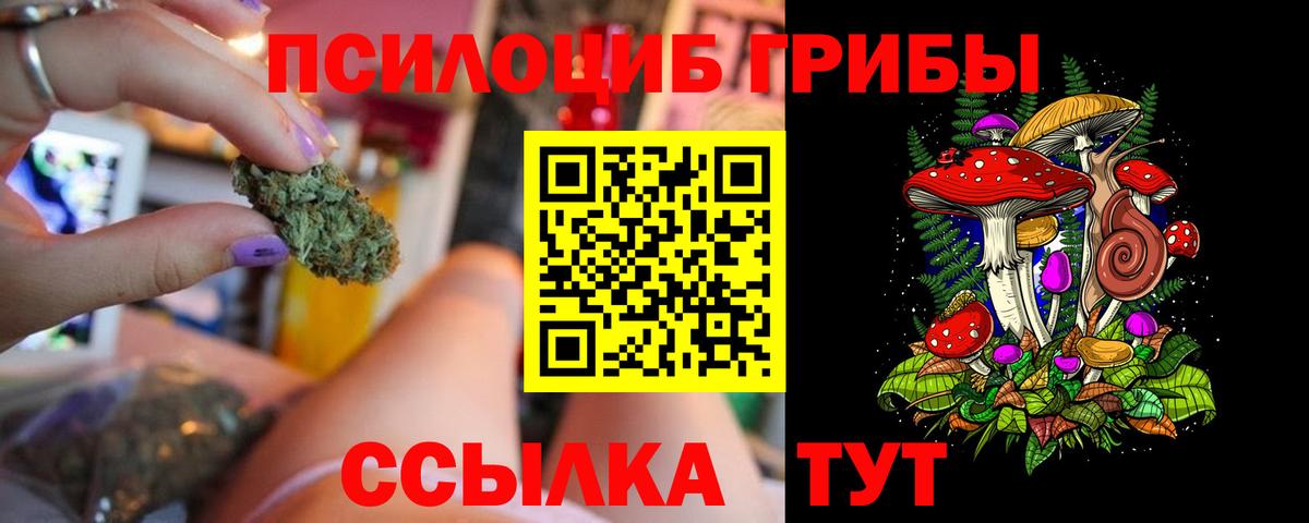 Псилоцибиновые грибы GOLDEN TEACHER  Вход с VPN  Кондопога 