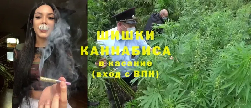 Бошки марихуана White Widow  Кондопога 